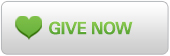 Give now button